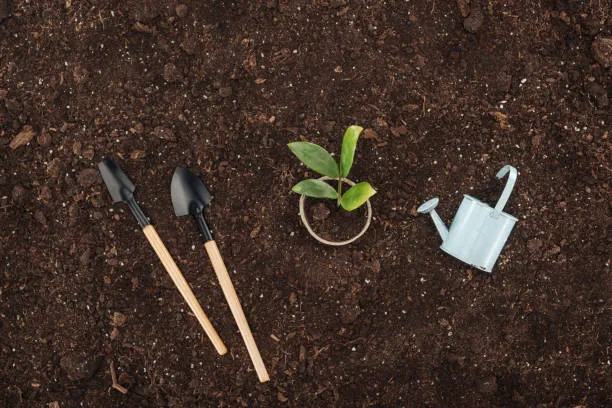 COURS PARTICULIER EN CONCEPTION PAYSAGÈRE À CHANTELOUP-LES-VIGNES, Chanteloup-les-Vignes, ALT CORPORATION