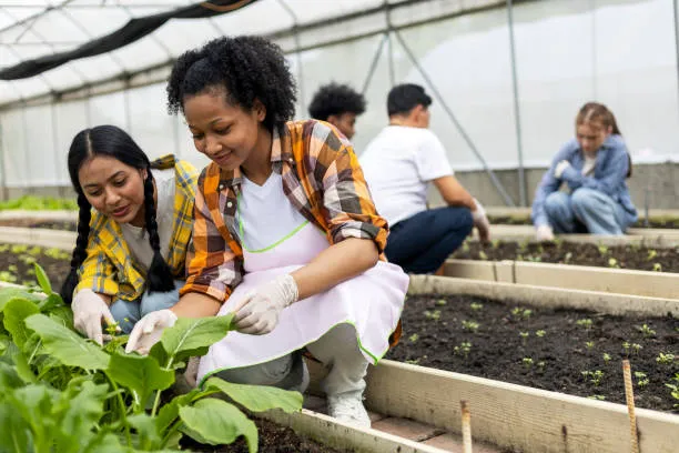 FORMATION PAYSAGISME ET HORTICULTURE POUR CHERCHEUR D'EMPLOI À CHANTELOUP-LES-VIGNES, Chanteloup-les-Vignes, ALT CORPORATION