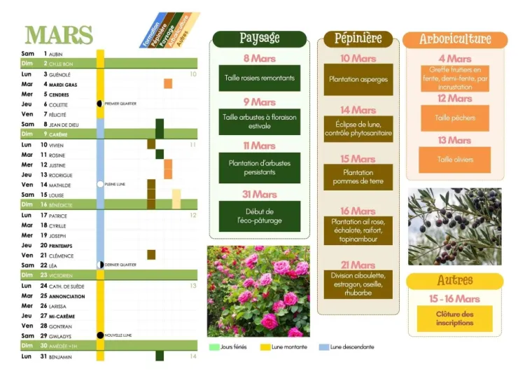 Préparez votre jardin pour le printemps avec ALT CORPORATION, Chanteloup-les-Vignes, ALT CORPORATION