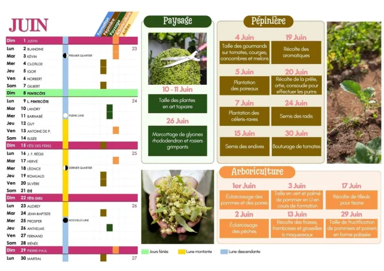 PROGRAMME DE PLANTATION POUR JUIN À CHANTELOUP-LES-VIGNES, Chanteloup-les-Vignes, ALT CORPORATION