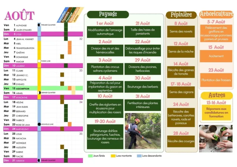 CALENDRIER DES PLANTATIONS EN AOÛT À CHANTELOUP-LES-VIGNES