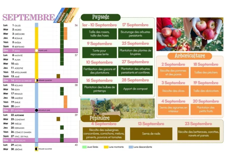 CALENDRIER DES PLANTATIONS ET TRAVAUX DE JARDINAGE DE SEPTEMBRE 2025 À CHANTELOUP-LES-VIGNES, Chanteloup-les-Vignes, ALT CORPORATION