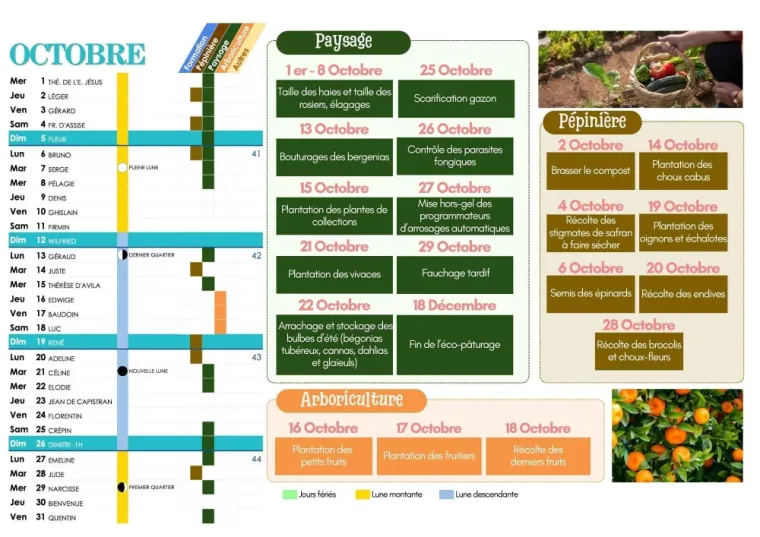 CALENDRIER DES PLANTATIONS ET TRAVAUX DE JARDINAGE D'OCTOBRE 2025 À CHANTELOUP-LES-VIGNES, Chanteloup-les-Vignes, ALT CORPORATION