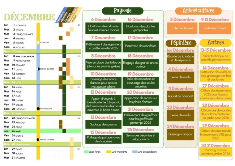CALENDRIER DE DÉCEMBRE DES PLANTATIONS ET TRAVAUX DE JARDINAGE À CHANTELOUP-LES-VIGNES, Chanteloup-les-Vignes, ALT CORPORATION