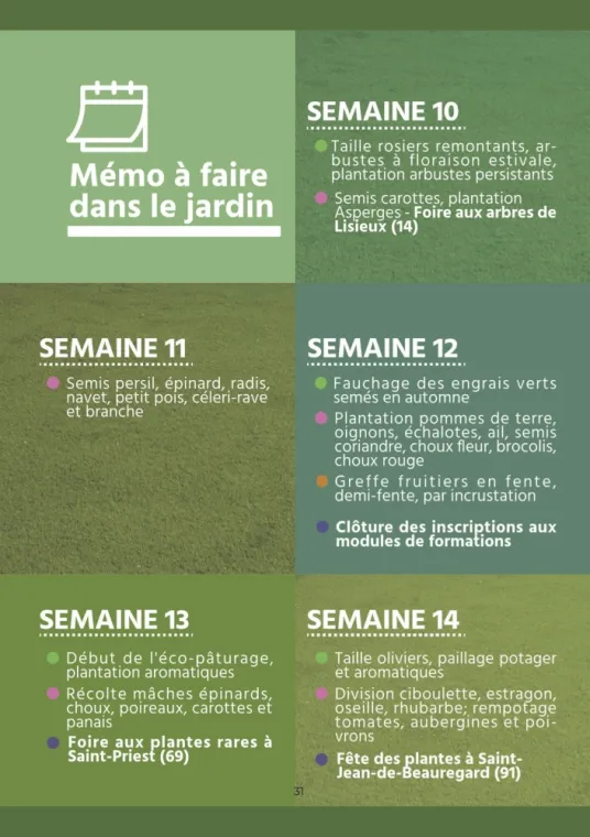 Calendrier des plantations et de l'entretien de son jardin pour Mars à Chambourcy