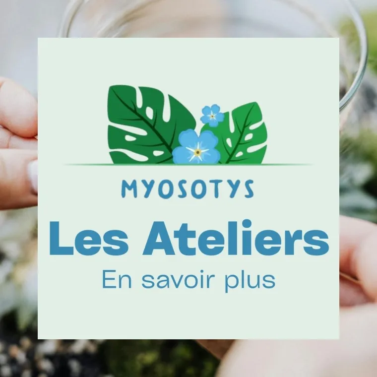 Ateliers horticoles avec Myosotys à Poissy