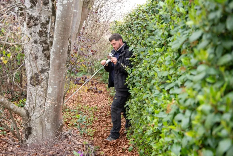 Diagnostics phytosanitaires et expertise de l'arbre, Chanteloup-les-Vignes, ALT CORPORATION