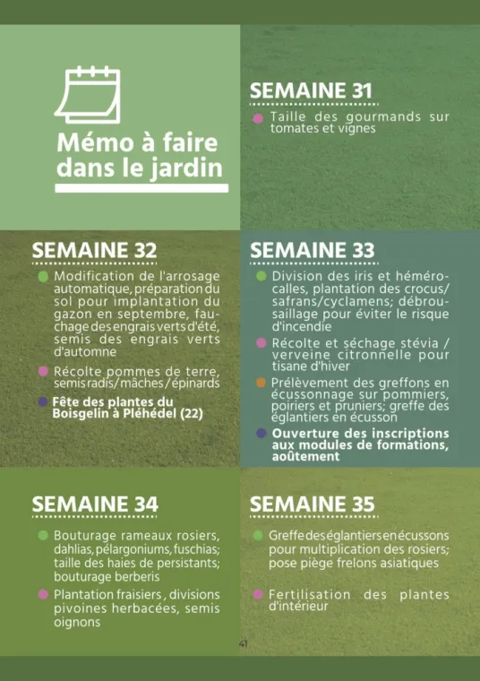Calendrier des plantations et de l'entretien de son jardin pour août à Chanteloup-les-Vignes, Chanteloup-les-Vignes, ALT CORPORATION