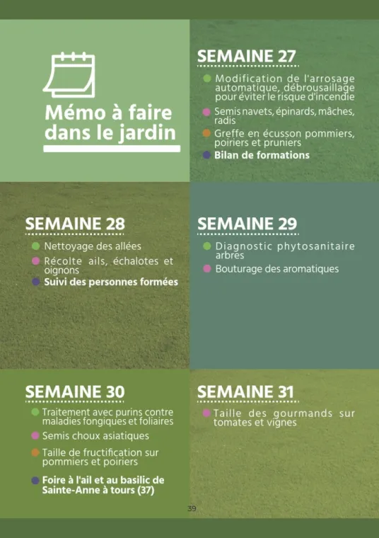 Calendrier des plantations et de l'entretien de son jardin pour juillet à Chanteloup-les-Vignes, Chanteloup-les-Vignes, ALT CORPORATION