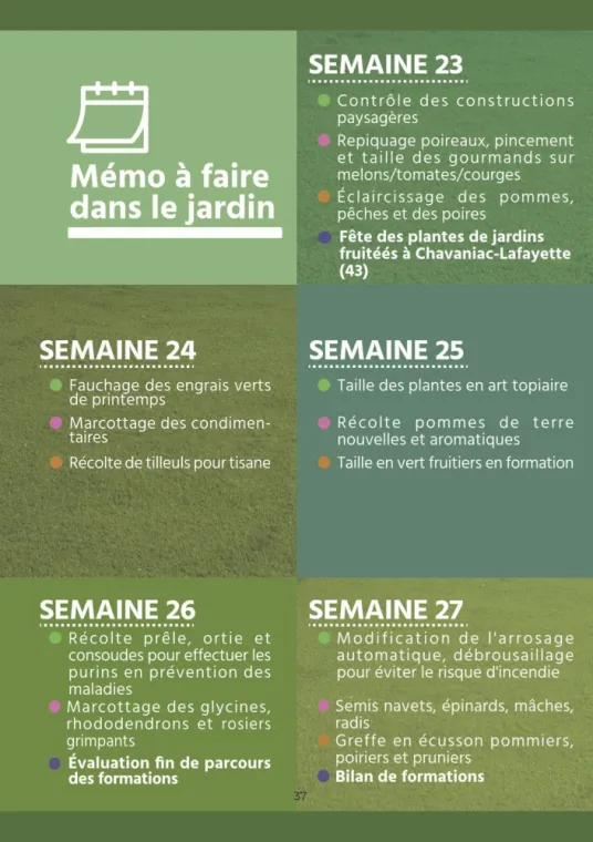 Calendrier des plantations et de l'entretien de son jardin pour Juin à Chanteloup-les-Vignes, Chanteloup-les-Vignes, ALT CORPORATION
