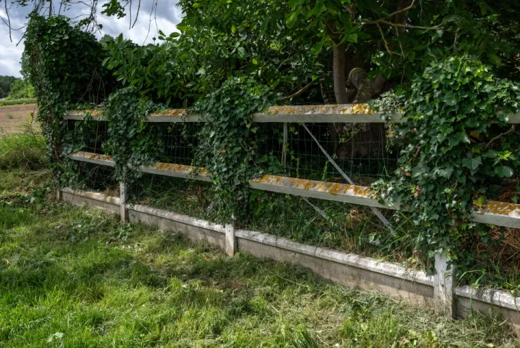 L'importance du débroussaillage à Maurecourt, Chanteloup-les-Vignes, ALT CORPORATION