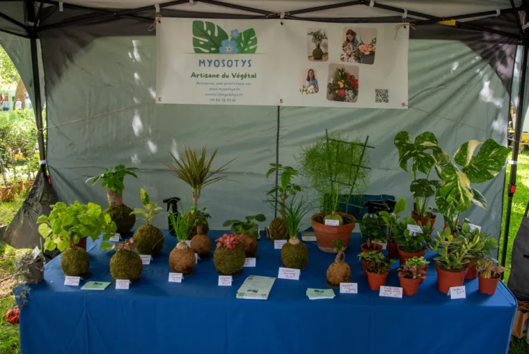 Fête de la nature à Poissy : le stand de Myosotys, partenaire d'ALT Corporation, Chanteloup-les-Vignes, ALT CORPORATION