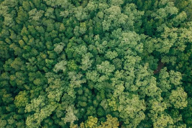 Service d'éco-conception et protection de la biodiversité avec Gendt Paysages, Chanteloup-les-Vignes, ALT CORPORATION