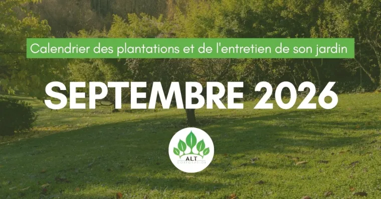 Le calendrier des plantations et de l'entretien de son jardin pour septembre à Chanteloup-les-Vignes, Chanteloup-les-Vignes, ALT CORPORATION