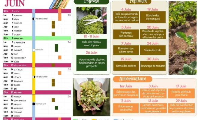 PROGRAMME DE PLANTATION POUR JUIN À CHANTELOUP-LES-VIGNES, Chanteloup-les-Vignes, ALT CORPORATION