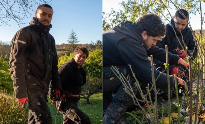 CALENDRIER DES PLANTATIONS ET TRAVAUX DE JARDINAGE DE SEPTEMBRE 2025 À CHANTELOUP-LES-VIGNES, Chanteloup-les-Vignes, ALT CORPORATION