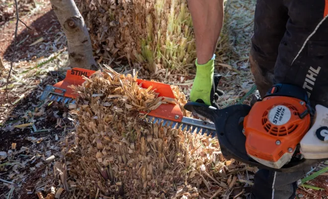 Préparer son jardin pour le printemps, Chanteloup-les-Vignes, ALT CORPORATION