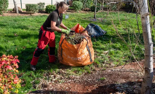 Préparer son jardin pour le printemps, Chanteloup-les-Vignes, ALT CORPORATION