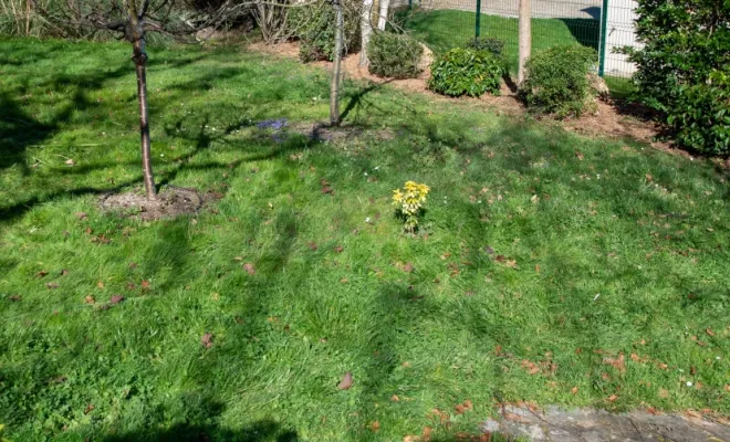 Préparer son jardin pour le printemps, Chanteloup-les-Vignes, ALT CORPORATION