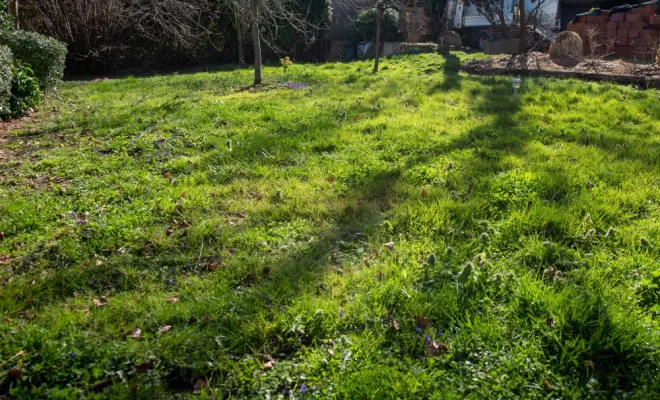 Préparer son jardin pour le printemps, Chanteloup-les-Vignes, ALT CORPORATION