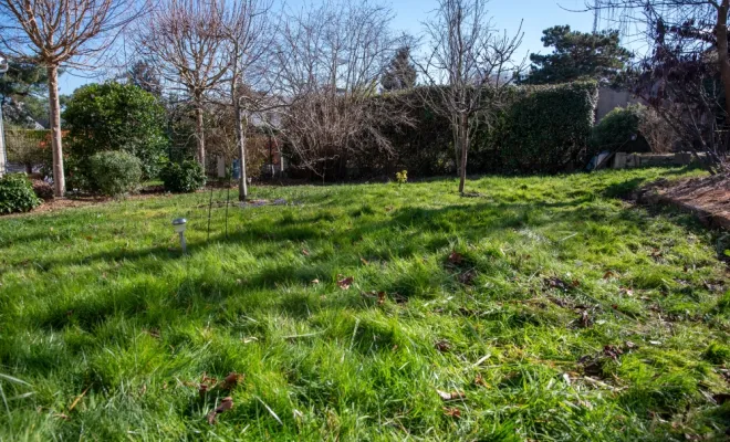 Préparer son jardin pour le printemps, Chanteloup-les-Vignes, ALT CORPORATION