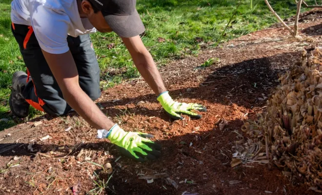 Préparer son jardin pour le printemps, Chanteloup-les-Vignes, ALT CORPORATION
