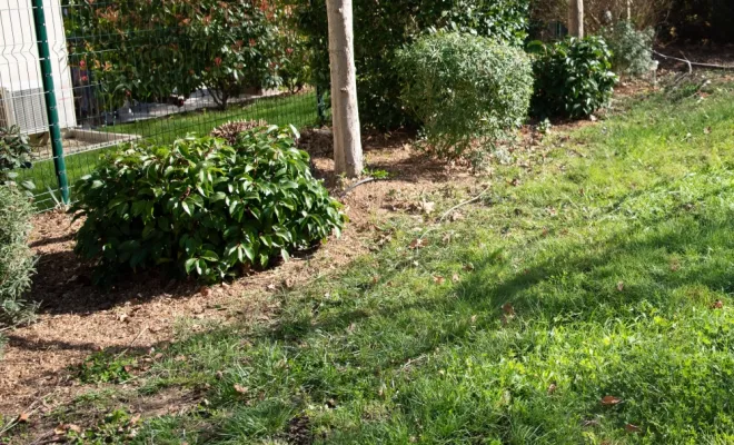 Préparer son jardin pour le printemps, Chanteloup-les-Vignes, ALT CORPORATION