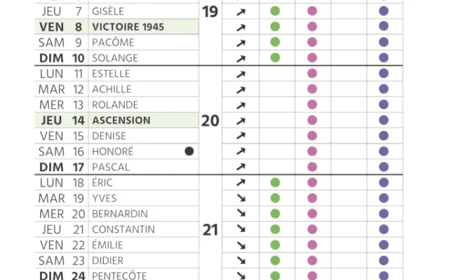 Calendrier des plantations et de l'entretien de son jardin pour mai à Chanteloup-les-Vignes