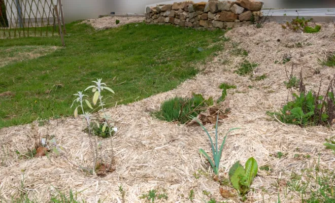 Création d'une forêt jardin pédagogique à Melun (77), Chanteloup-les-Vignes, ALT CORPORATION