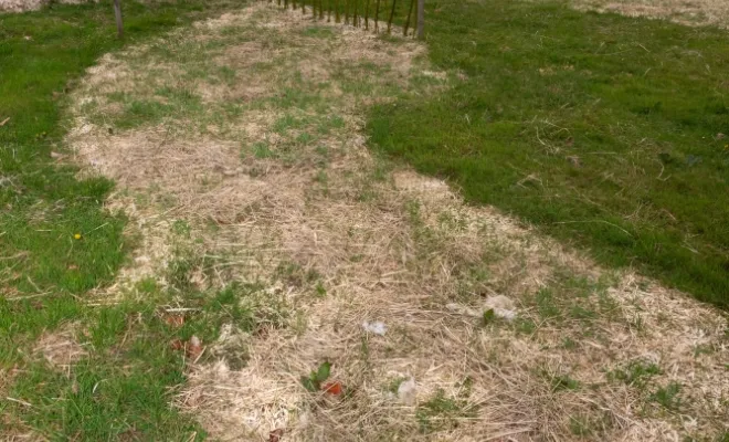 Création d'une forêt jardin pédagogique à Melun (77), Chanteloup-les-Vignes, ALT CORPORATION