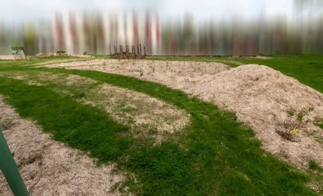 Création d'une forêt jardin pédagogique à Melun (77), Chanteloup-les-Vignes, ALT CORPORATION