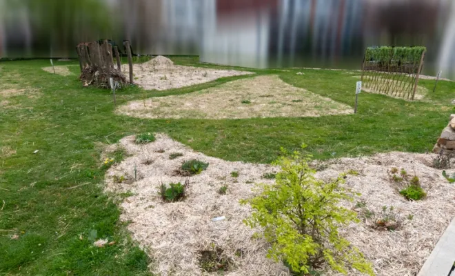 Création d'une forêt jardin pédagogique à Melun (77), Chanteloup-les-Vignes, ALT CORPORATION