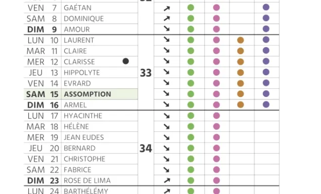 Calendrier des plantations et de l'entretien de son jardin pour août à Chanteloup-les-Vignes, Chanteloup-les-Vignes, ALT CORPORATION
