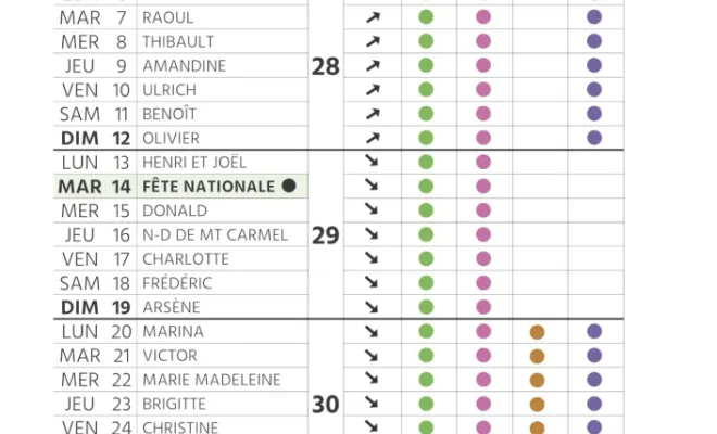 Calendrier des plantations et de l'entretien de son jardin pour juillet à Chanteloup-les-Vignes, Chanteloup-les-Vignes, ALT CORPORATION