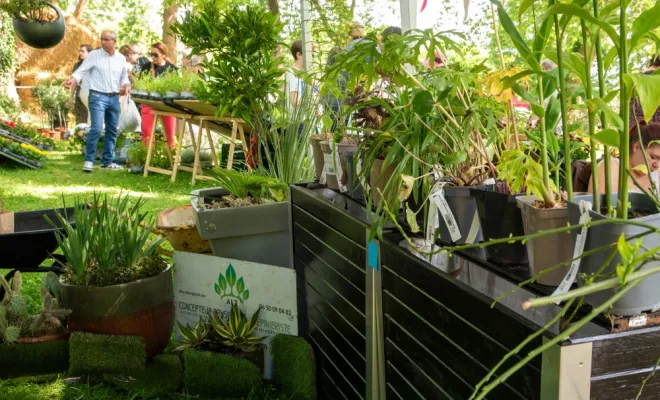 Retour sur la Fête de la nature 2026 avec ALT Corporation, Chanteloup-les-Vignes, ALT CORPORATION