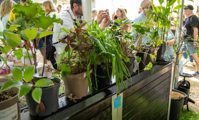 Retour sur la Fête de la nature 2026 avec ALT Corporation, Chanteloup-les-Vignes, ALT CORPORATION