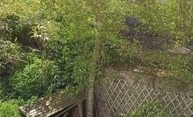 Photo d'un arbre dans un jardin