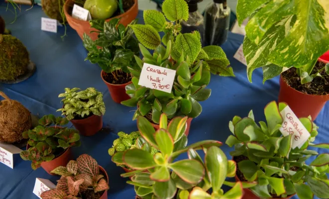 Fête de la nature à Poissy : le stand de Myosotys, partenaire d'ALT Corporation, Chanteloup-les-Vignes, ALT CORPORATION