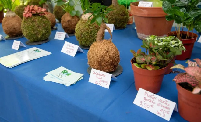 Fête de la nature à Poissy : le stand de Myosotys, partenaire d'ALT Corporation, Chanteloup-les-Vignes, ALT CORPORATION