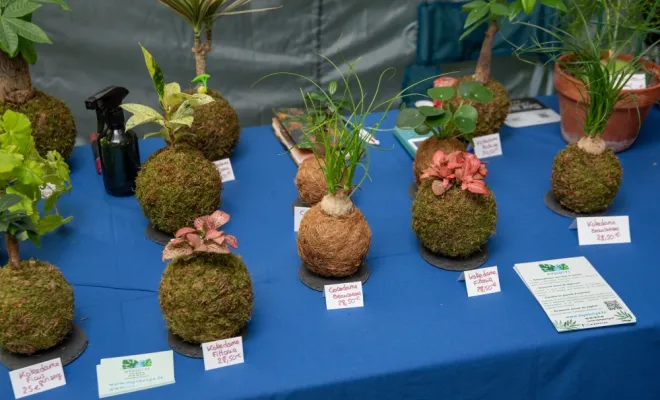 Fête de la nature à Poissy : le stand de Myosotys, partenaire d'ALT Corporation, Chanteloup-les-Vignes, ALT CORPORATION