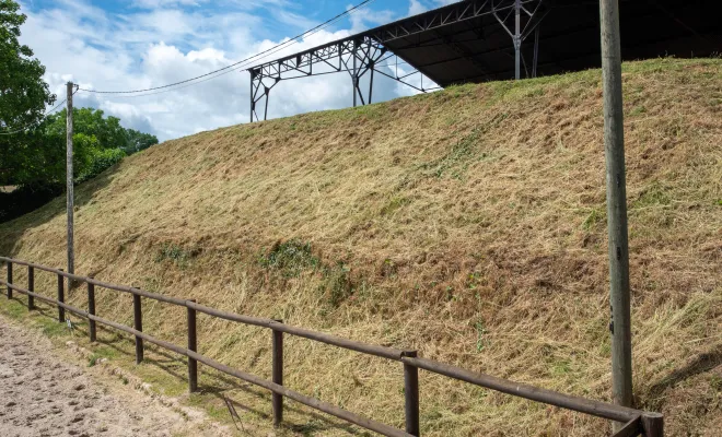 L'importance du débroussaillage à Maurecourt, Chanteloup-les-Vignes, ALT CORPORATION