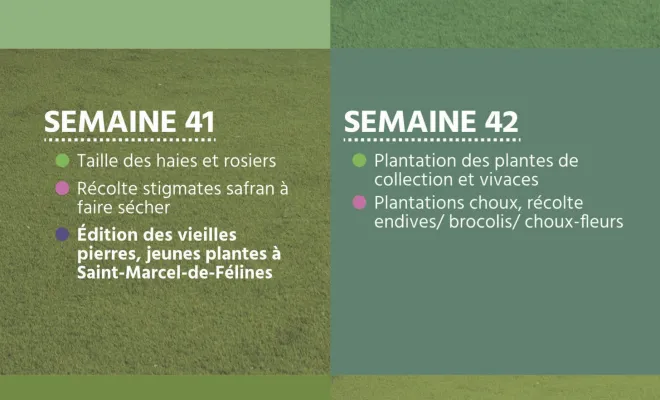 Le calendrier des plantations et de l'entretien de son jardin pour octobre à Chanteloup-les-Vignes, Chanteloup-les-Vignes, ALT CORPORATION