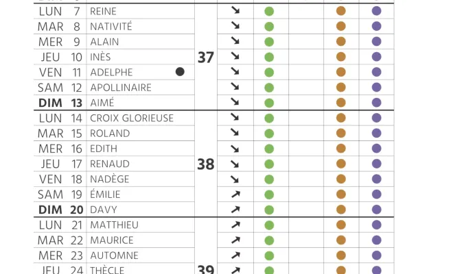 Le calendrier des plantations et de l'entretien de son jardin pour septembre à Chanteloup-les-Vignes, Chanteloup-les-Vignes, ALT CORPORATION