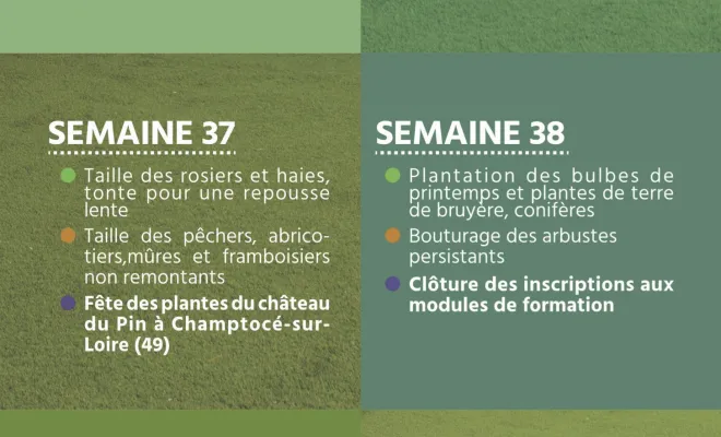 Le calendrier des plantations et de l'entretien de son jardin pour septembre à Chanteloup-les-Vignes, Chanteloup-les-Vignes, ALT CORPORATION